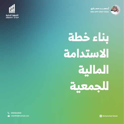 بناء خطة الاستدامة المالية